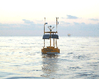 Data recording buoy floating on a smooth sea