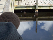 An alligator's head peaking out from under a dock.