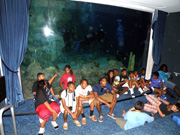 Group seated in front of a viewing panel at the aquarium as the divers swim behind them.