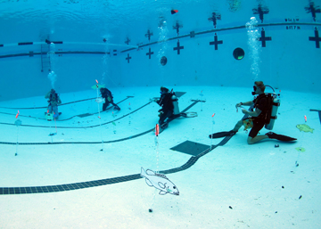 Several scuba divers kneeling on the bottom of a pool with fish pictures on plastic floating chains located at random locations around them