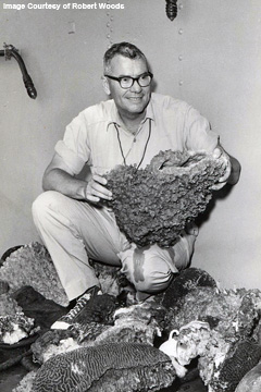 Tom Pulley kneeling among corals and holding a large sponge collected from the first dives at the Flower Garden Banks in 1960