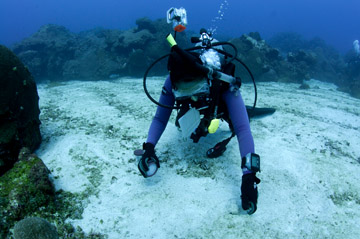A diver using a plastic container to collect sediment from the sea floor.