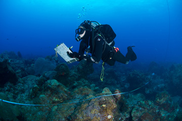 Diver swimming over the reef with a clipboard in hand