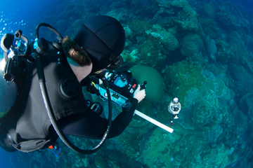 Looking over the shoulder of a diver taking a monitoring photo of the reef.