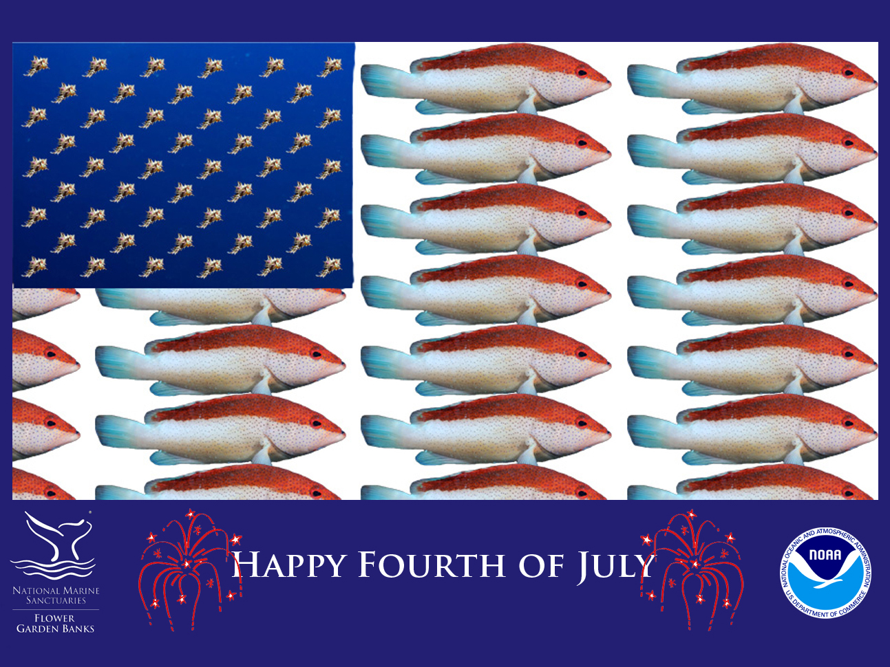 A United States flag image made using red and white fish for the stripes and murex shells for the stars.