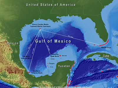 Gulf of Mexico map showing distances from FGBNMS to nearest coral reefs in Mexico, Cuba and U.S.