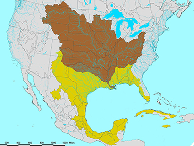 Map of North American showing the watershed for the Gulf of Mexico, which includes parts of Canada, Mexico, Cuba and the U.S.