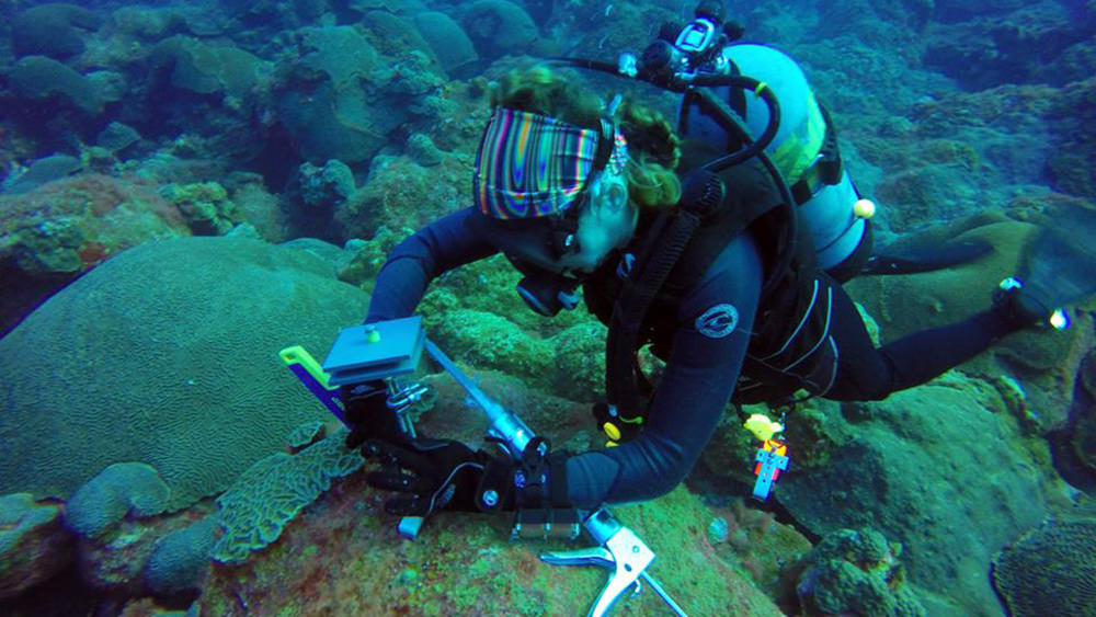 A diver installing a scientific instrument on the reef.
