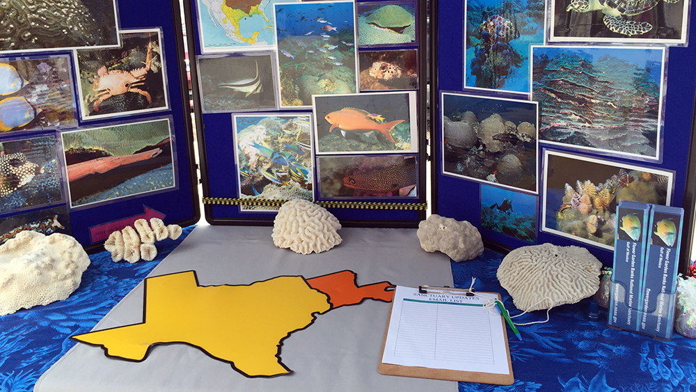 A table top display about the sanctuary with pieces of coral on display