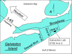 Map showing location of sanctuary office in Galveston, TX