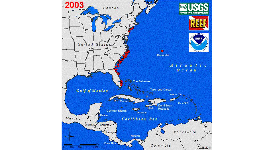 Map of the eastern U.S. and Mexico, Gulf of Mexico, Central America, Caribbean and northern South America with red dots showing locations of lionfish sightings in 2003
