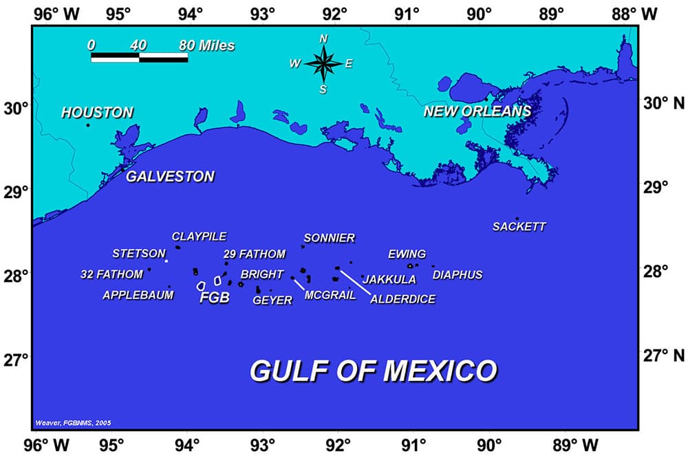 Map showing the Gulf coasts of Texas and Louisiana and the relative locations of several offshore banks and reefs in the Gulf of Mexico.