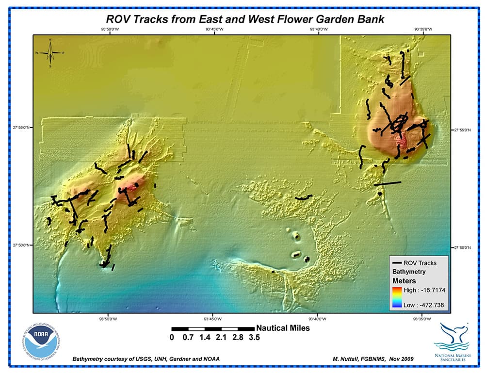 Bathymetry map of East and West Flower Garden Banks and the area between them, with black lines showing where ROVs have been.