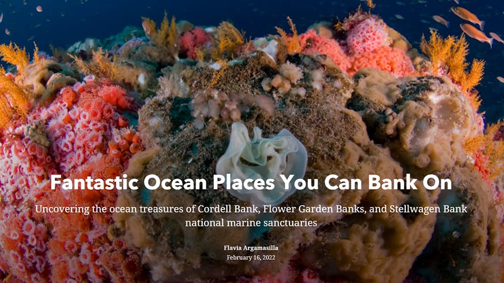 Fantastic Ocean Places You Can Bank On overlaid on an image of colorful invertebrates on an ocean reef