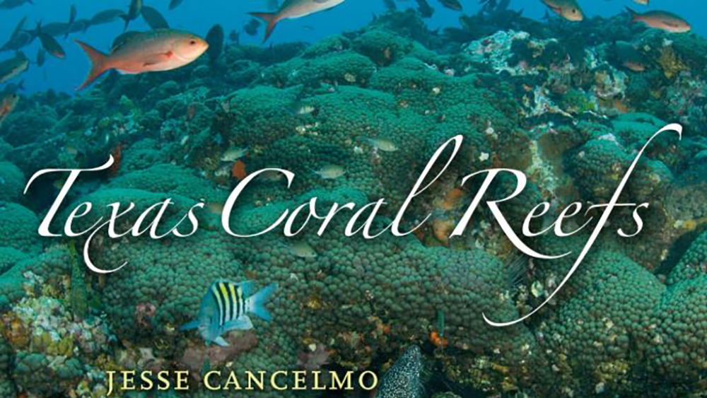 Partial cover view of Jesse Cancelmo's book Texas Coral Reefs