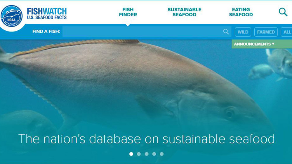 Fish with NOAA FishWatch logo above and the statement, The nation's databse on sustainable seafood, below