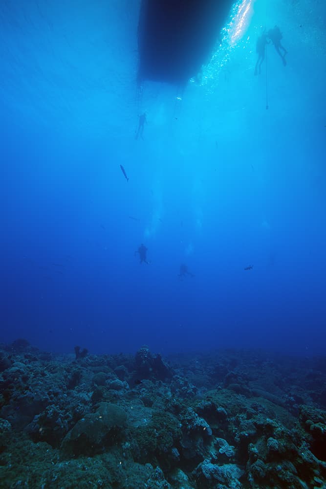 Long view of divers swimming back to the boat at the surface with the reef far below