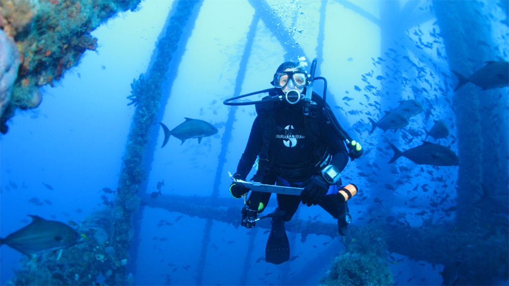 Diver conducting a fish survey within the legs of an oil and gas platform