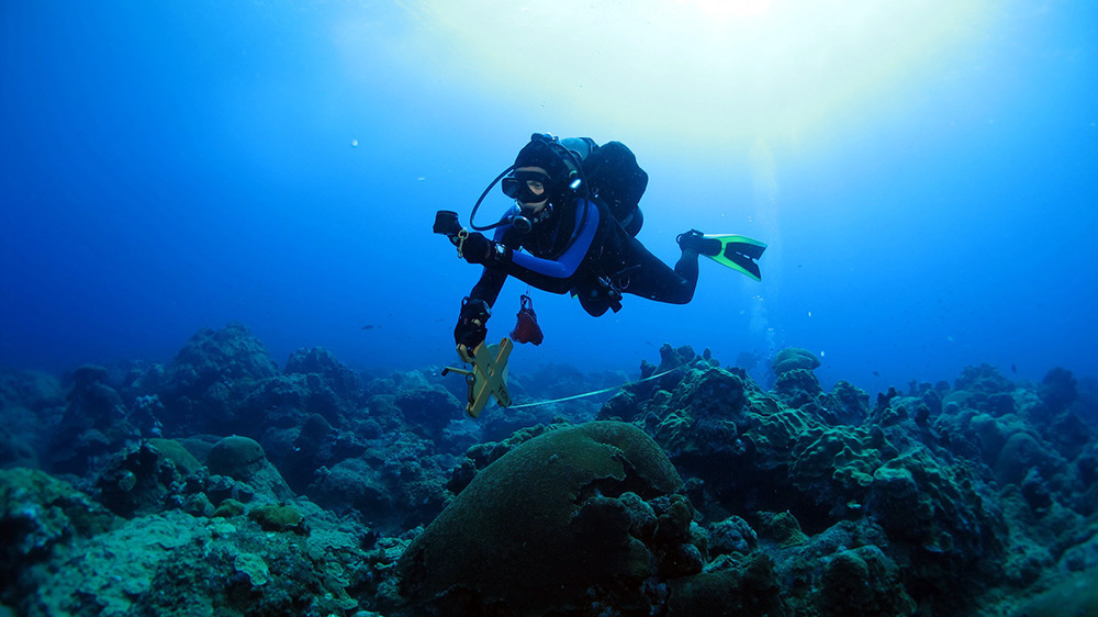 A diver unreeling a measuring tape across the reef while navigating using a compass