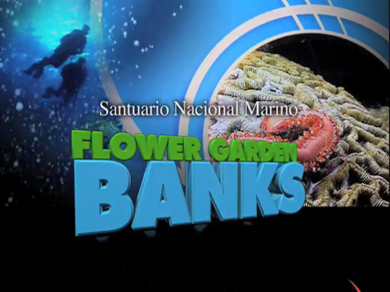 Opening screen of Flower Garden Banks National Marine Sanctuary introductory video in Spanish